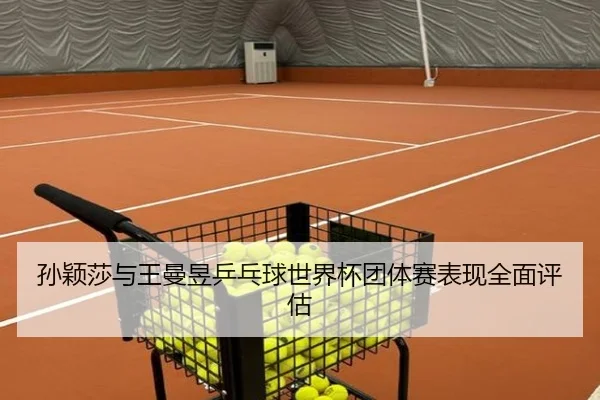 孙颖莎与王曼昱乒乓球世界杯团体赛表现全面评估